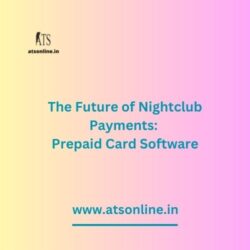 The Future of Nightclub Payments: Prepaid Card Software
